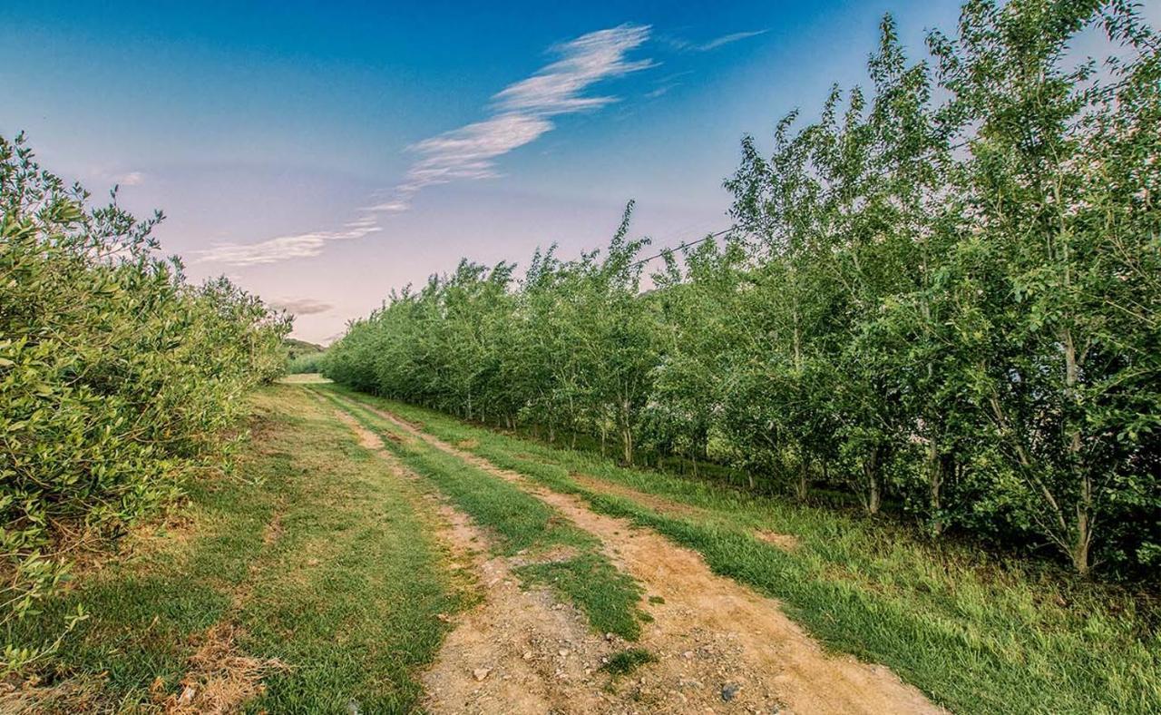 Oudewerfskloof Olive Farm Villa Stilbaai Eksteriør billede