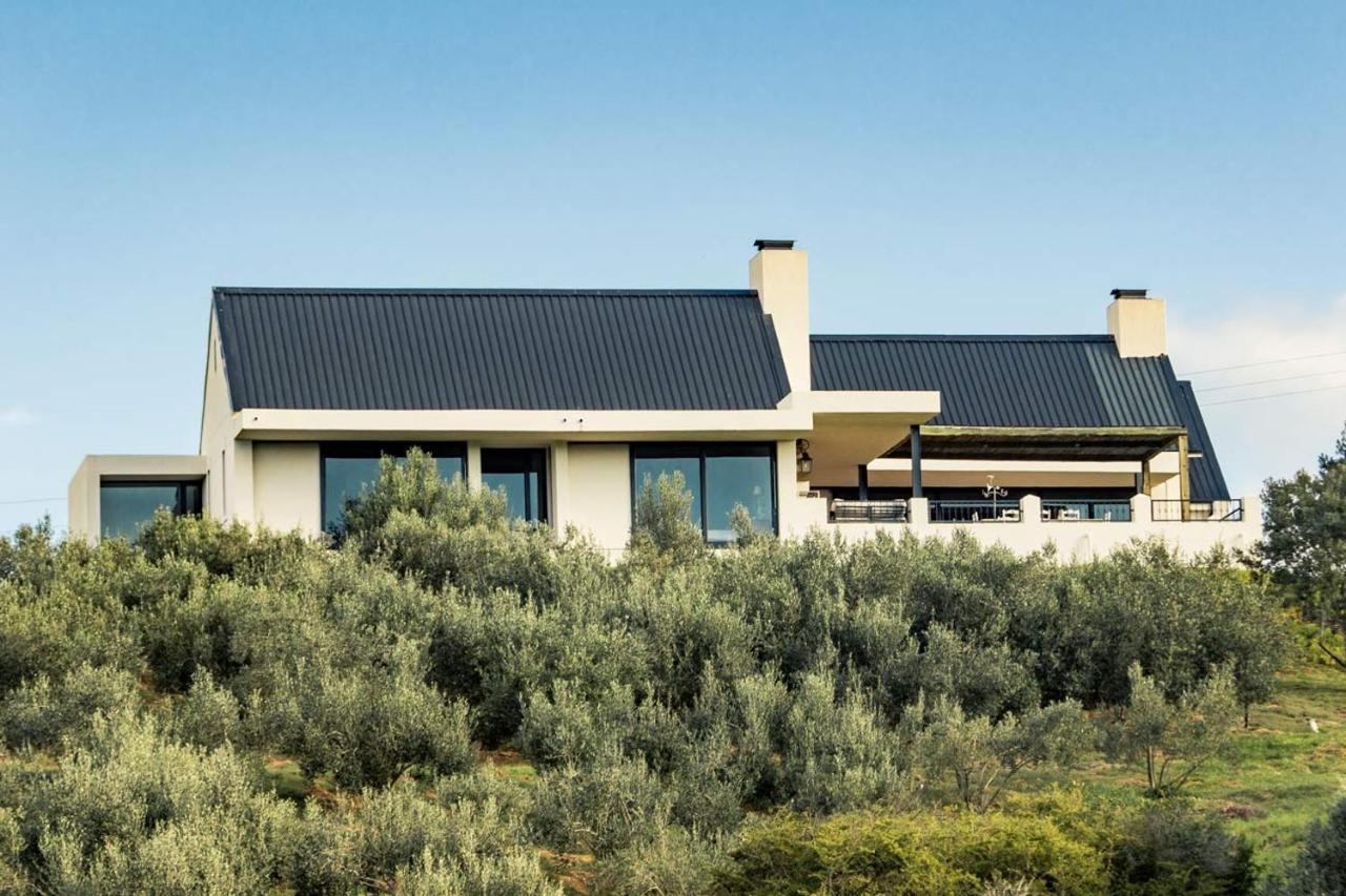 Oudewerfskloof Olive Farm Villa Stilbaai Eksteriør billede